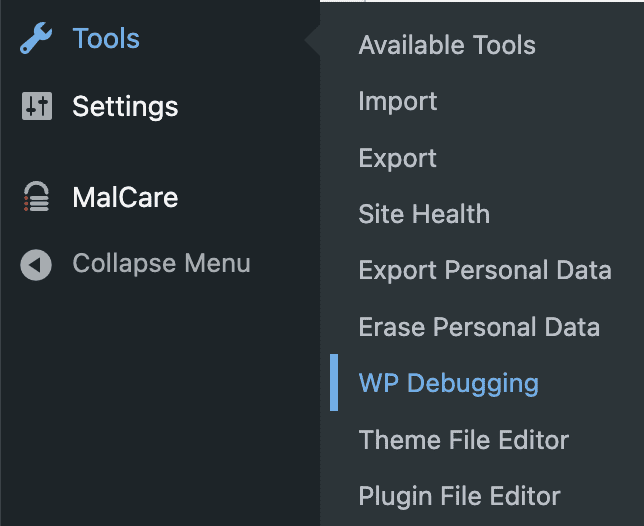 WP Debugging in the Tools section